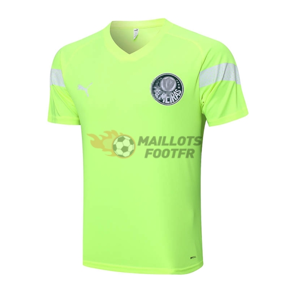 Maillot d'Entraînement Palmeiras 2023/2024 Vert Fluorescent