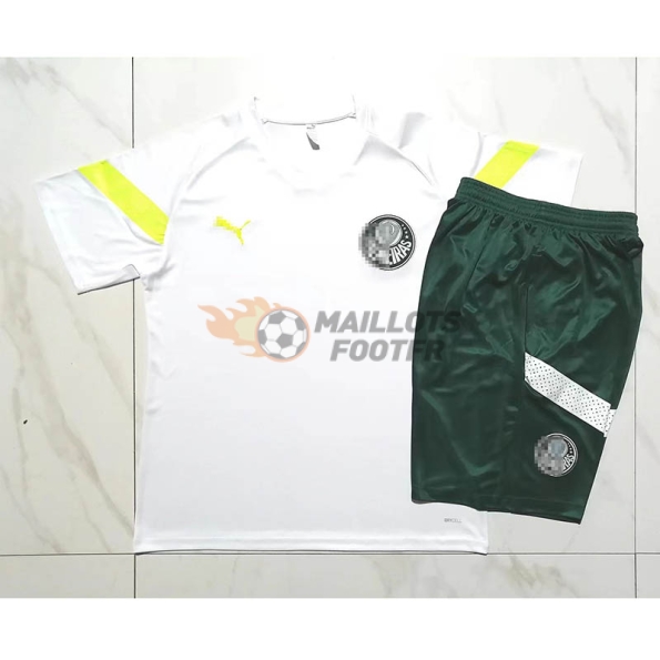 Maillot d'Entraînement Palmeiras 2023/2024 Blanc