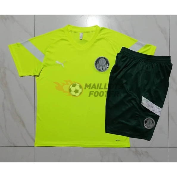 Maillot d'Entraînement Palmeiras 2023/2024 Vert Fluorescent