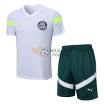 Maillot d'Entraînement Palmeiras 2023/2024 Blanc