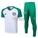 Maillot d'Entraînement Palmeiras 2023/2024 Blanc/Vert